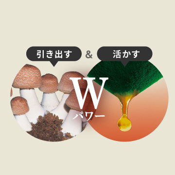 厳選されたこだわりの素材が相互作用