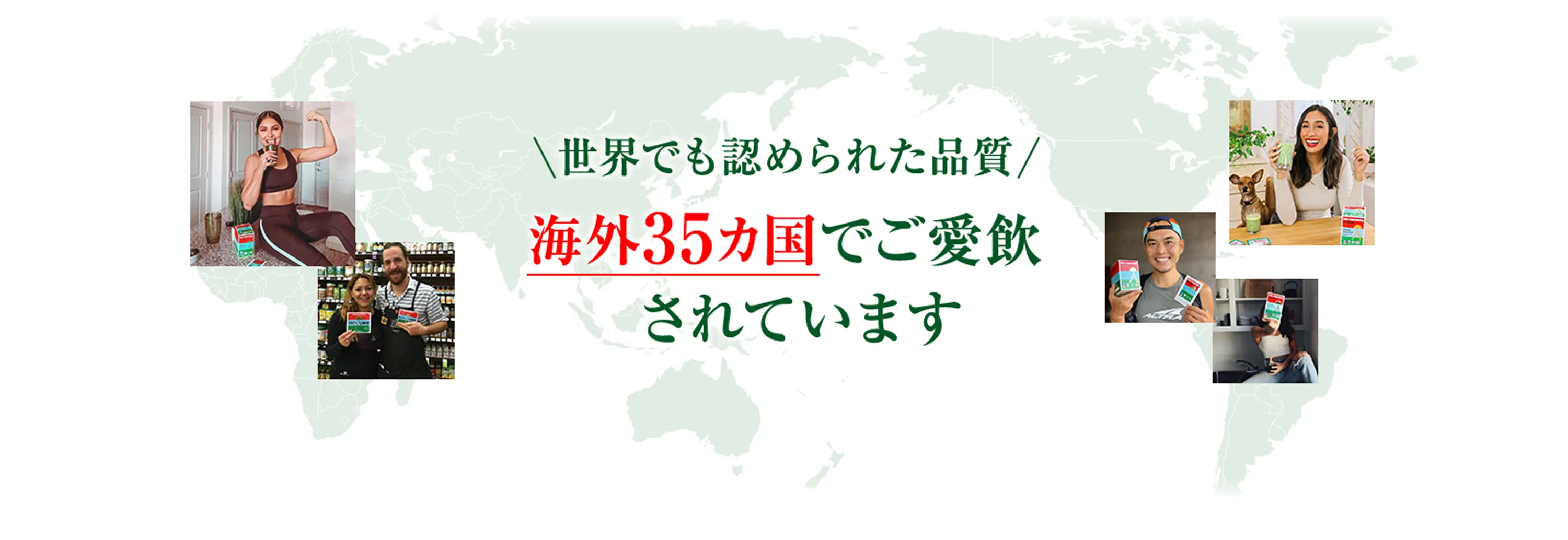 ⭐️SUPER黒ガリン⭐️ ♡他の植物にはない多種多様の栄養成分♡ ３本-