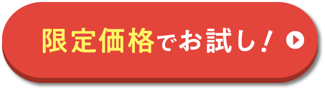 限定価格でお試し！