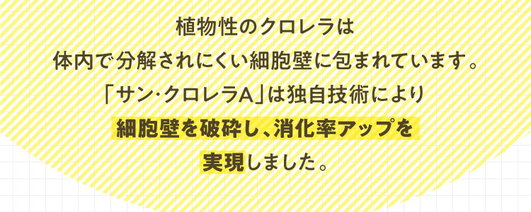 植物性のクロレラは体内で分解されにくい細胞壁に包まれています。「サン･クロレラA」は独自技術により細胞壁を破砕し、消化率アップを実現しました。