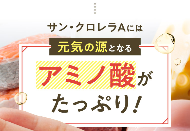 サン・クロレラAには元気の源となるアミノ酸がたっぷり！ だからぐったりが吹っ飛ぶ!