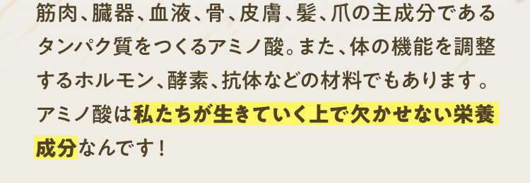 筋肉、臓器、血液、骨、皮膚、髪、爪の主成分であるタンパク質をつくるアミノ酸。また、体の機能を調整するホルモン、酵素、抗体などの材料でもあります。アミノ酸は私たちが生きていく上で欠かせない栄養成分なんです！