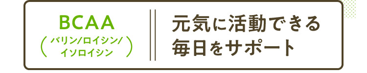 BCAA（バリン/ロイシン/イソロイシン） 元気に活動できる毎日をサポート