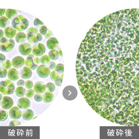 独自技術の細胞壁の破砕処理で消化率UP!栄養素を逃がさず摂取
