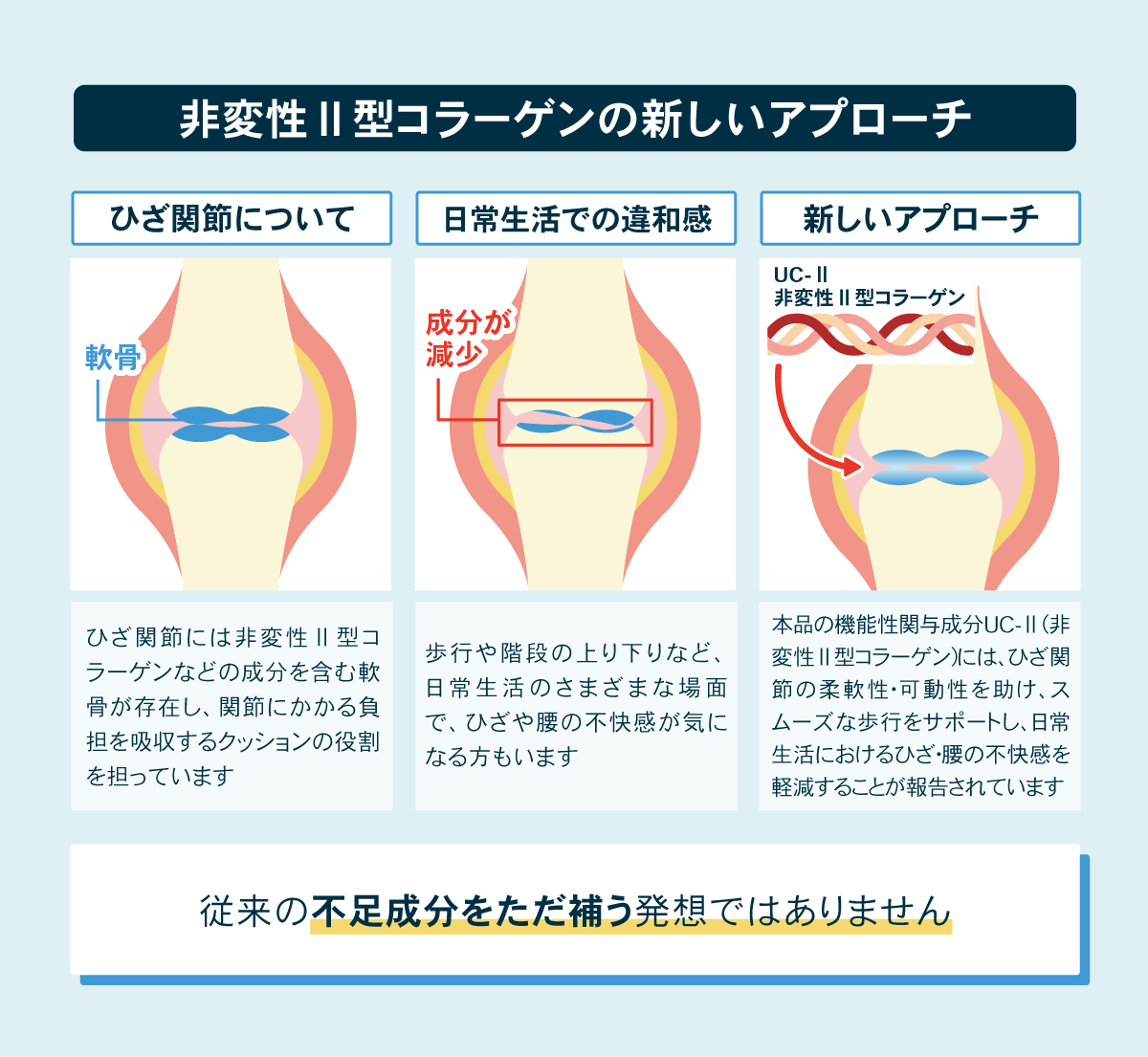 非変性Ⅱ型コラーゲンの新しいアプローチ