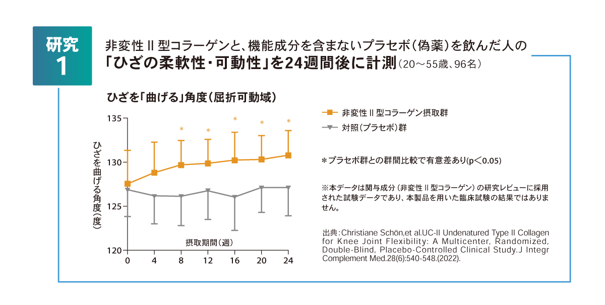 研究1 ひざの柔軟性・可動性の計測