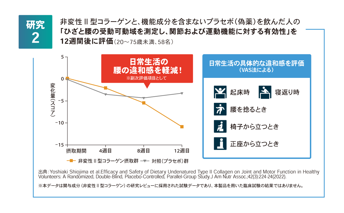 研究2 ひざと腰の受動可動域の測定