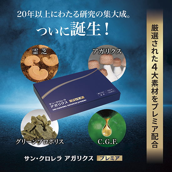 イメージ1